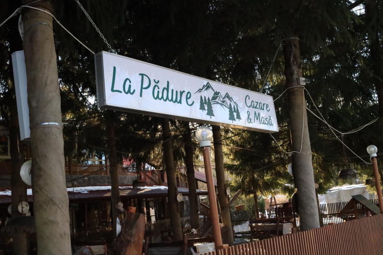 Brebu La Padure酒店 外观 照片